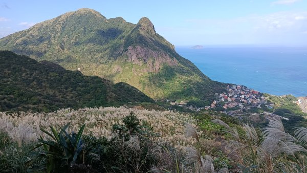找一個晴天去爬山~金瓜石芒花之旅2962416