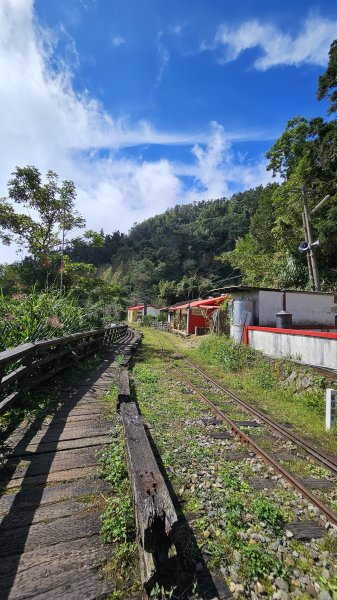 【四大天王山O型縱走未竟之旅：封山中的靜謐與省思】解鎖嘉義竹崎四大天王山、知鳥山。2929916