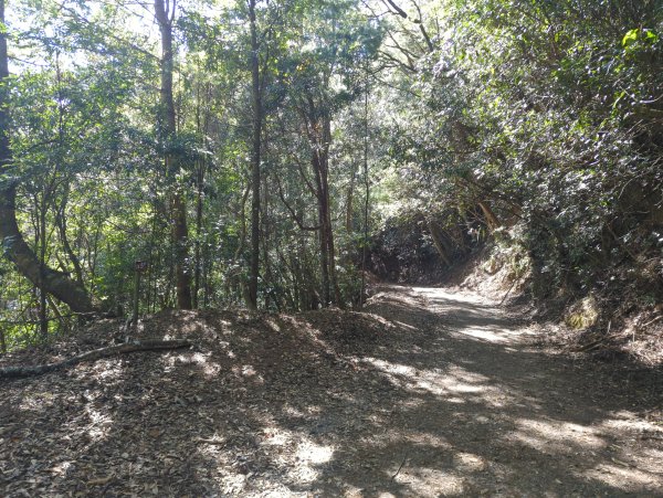 2025.12.06－北坑山步道&雪見遊憩區2956230