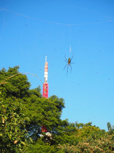 彰化隴頂古道至鳳山寺O型20181216483055