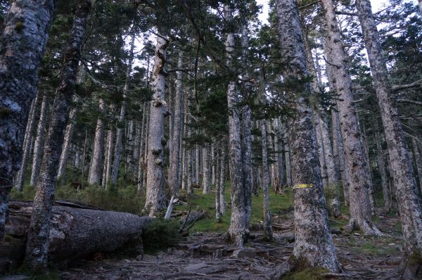 雪山主、東峰登山趣388944