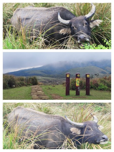 2026台北大縱走3014265