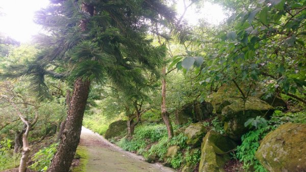 梅峰古道、竹子尖山、觀音步道繞一圈1721207