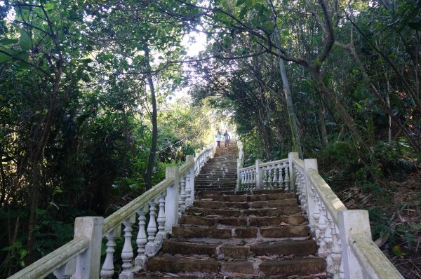 烘爐地登山步道(南勢角山)1968396