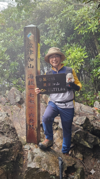 【這樣走波津加也行！】大雪山下波津加進谷關。3025950
