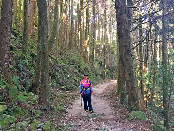橫嶺山連走鳶嘴山2019/4/30575787
