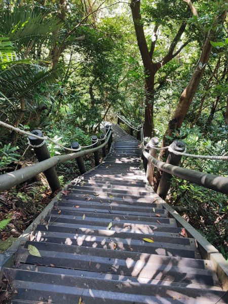 占山步道 - 2023觀音觀鷹尋寶任務2251351