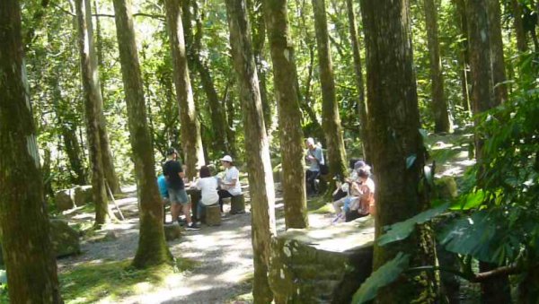 山林美境：滿月圓國家森林遊樂區處女瀑布1116101