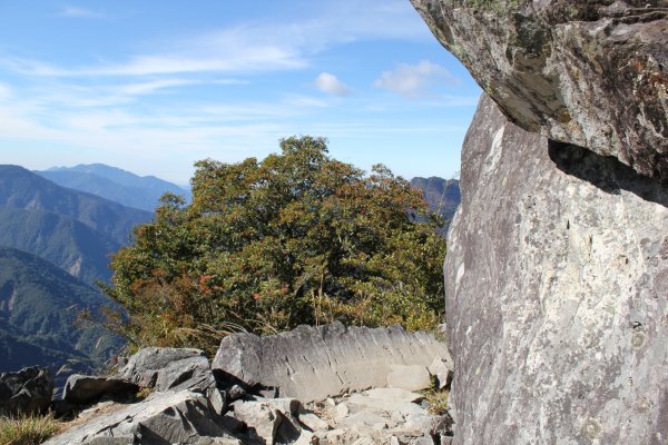 登峰造極--2018玉山主峰532680