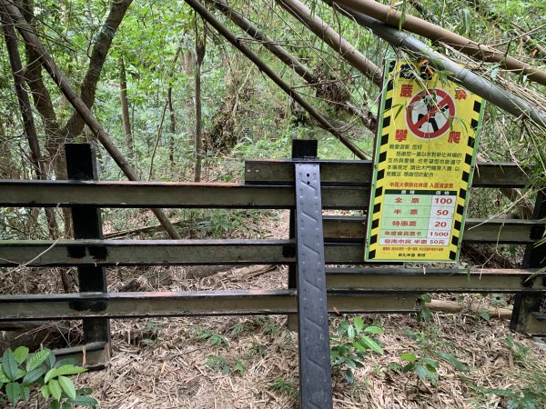 20250906台南糞箕湖山2881423