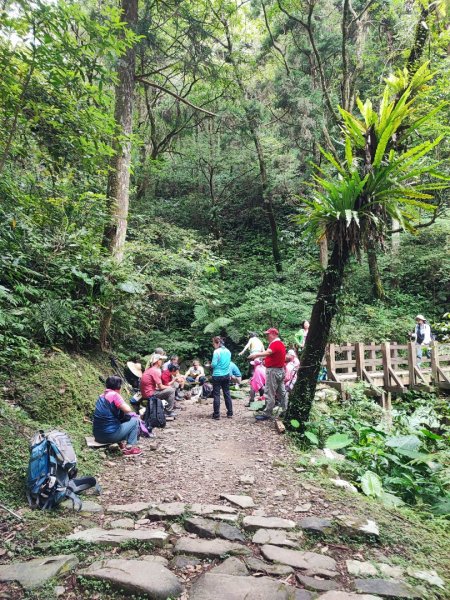 東滿步道/東眼山-小百岳#22-桃園市復興區2237746