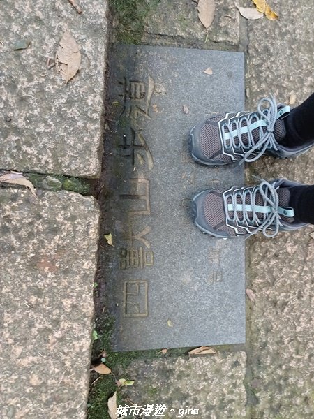 【台北信義】搭捷運爬山趣。 小百岳集起來。編號13小百岳-南港山步道1755567