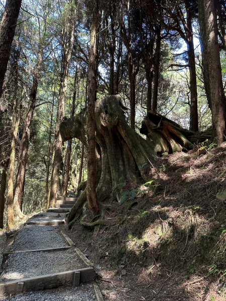 最高的小百岳大塔山2081576