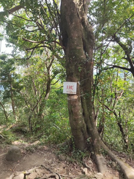 微笑山線：【二格山系】筆架連峰段2920979