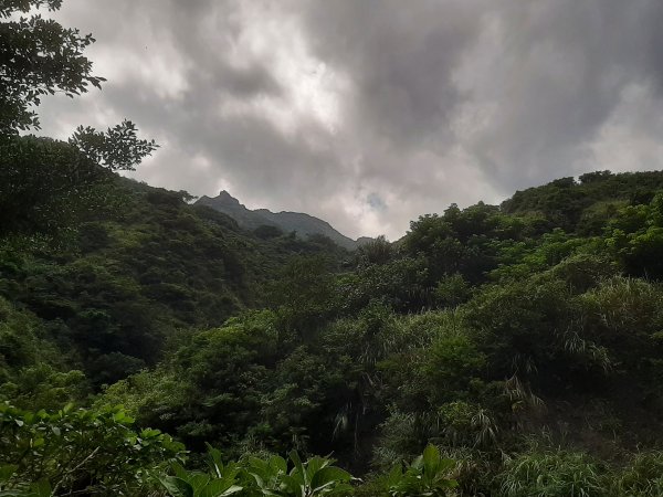 金瓜石，與奈良美智的詩意邂逅2883188