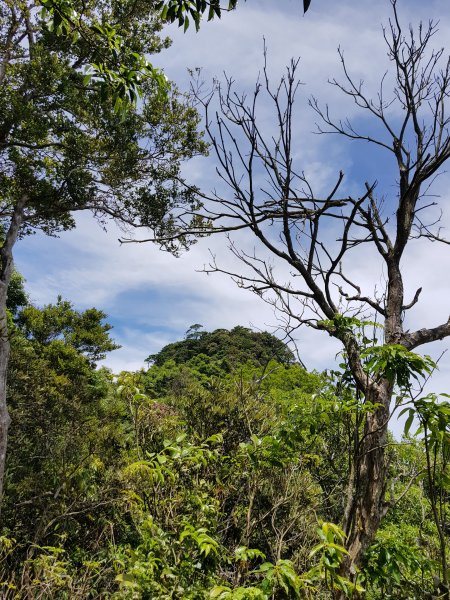 復興三尖之那結山1423086