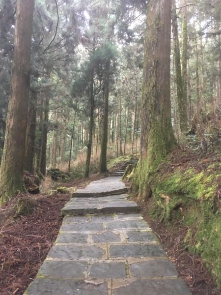 飽覽中央山脈、玉山山脈和阿里山的小笠原山104582