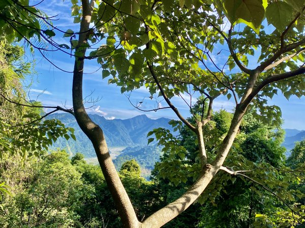 台中和平登觀音山東北峰.神谷山.遠藤山東峰.竹林.達觀山    2022/6/291749918
