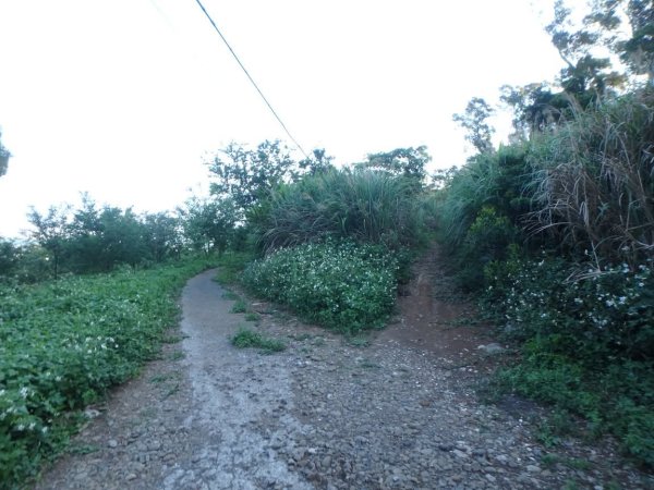 1070602小坪頂山3100133