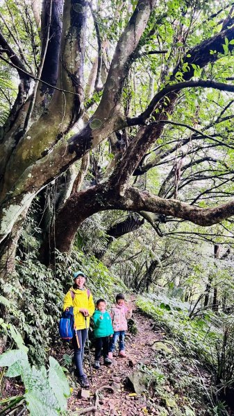 🌈3/16（日）內灣馬胎+南坪古道~內灣老街與合興愛情車站 FB：熊熊趴爬走🌈2737834