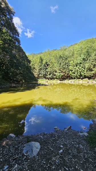 【被遺忘的南橫仙境】中之關、天池步道O繞10K2798196