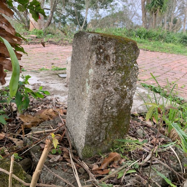 20250120高雄三縣界山-河表湖山-拉比嶺山-玉打山2697477