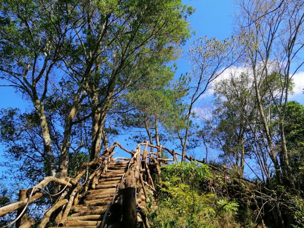 【台中。北屯】圓枕木練腳力。 大坑三號步道