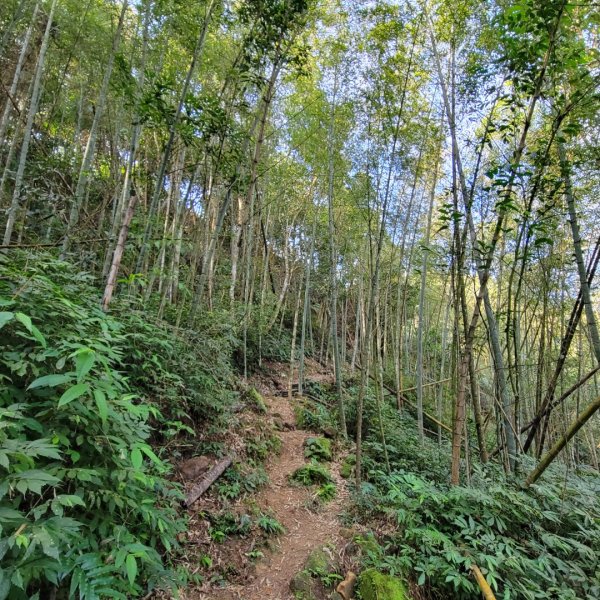 集集大山、車埕步道（小百岳）1628772