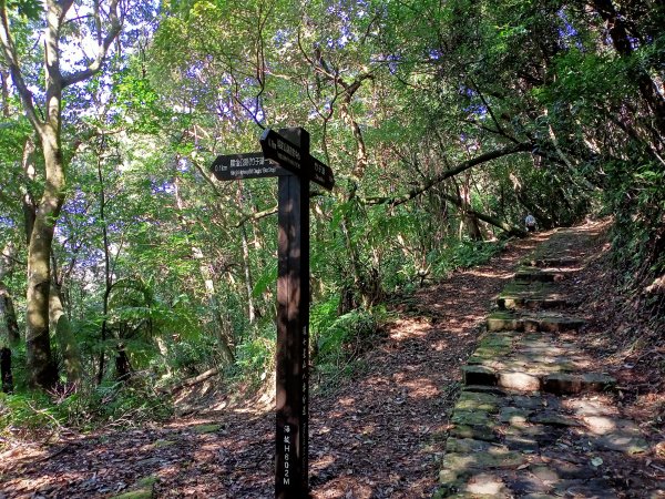 陽明山公車總站→七星山苗圃登山口→水車寮步道→頂湖→竹子湖逍遙遊1541611