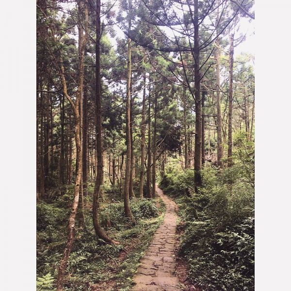 頂山石梯嶺步道143680