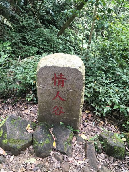 2018 05 14 鳴鳳山古道331750