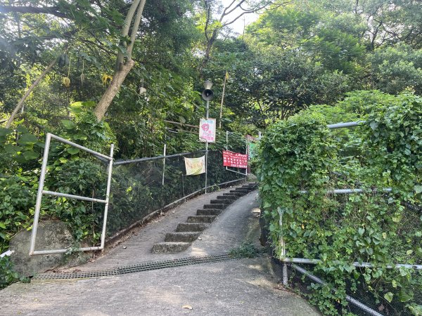 [山頂鳥40周年會員大縱走-12/15] 2024_0803 金面山親山步道2565273