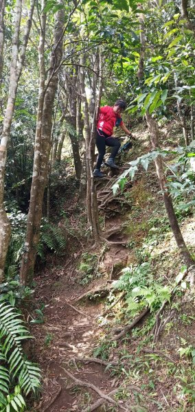 108.10.26 石碇 筆架山南峰北峰716389