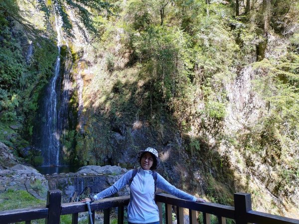 如童話般的森林步道-武陵桃山瀑布步道1190835