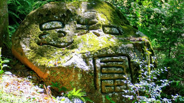 陽明山16草原之西線8草原2904057