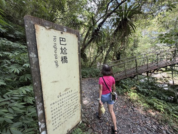九寮溪步道(戈霸瀑布)2026.06.193079260