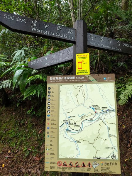 微笑山線：【五分山系】望古瀑布段2959898