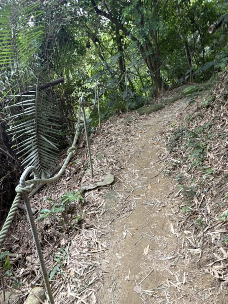 20251024蘭潭後山步道、紅毛埤山、山子頂山2924062