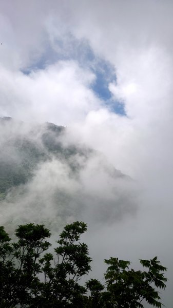  步道巡訪員 l 北得拉曼步道6月巡訪日誌1016112