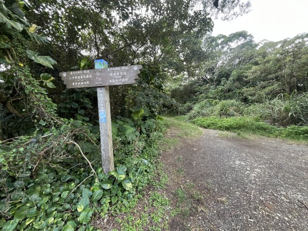 2024_1020 貴子坑親山步道2634241