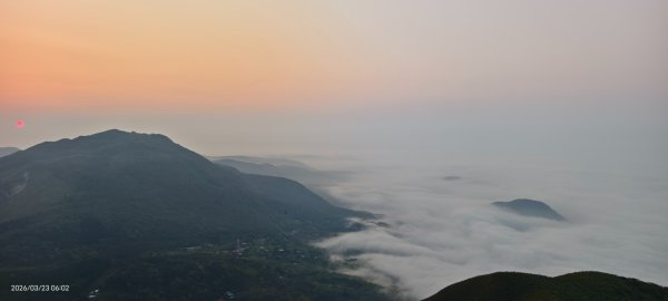 #大屯山 #日出 #雲海 #琉璃光 #橘咖啡 #吉野櫻 3/233020527