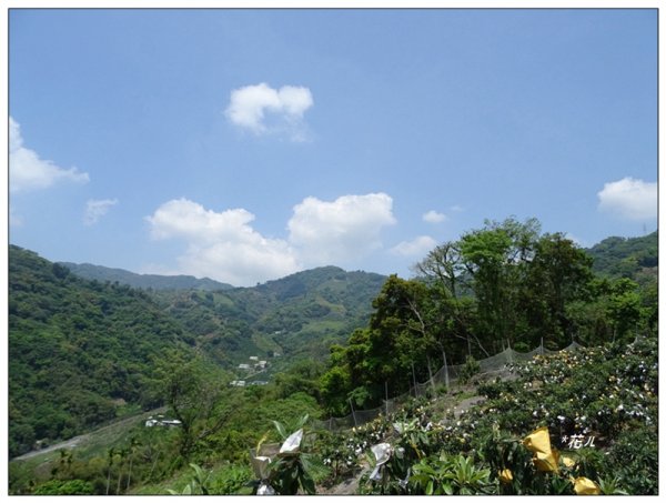 打鐵坑山、打鐵坑山北峰 (台中、和平)1674687
