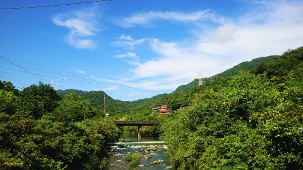 【淡蘭中路】翻山越嶺的茶商之道981227