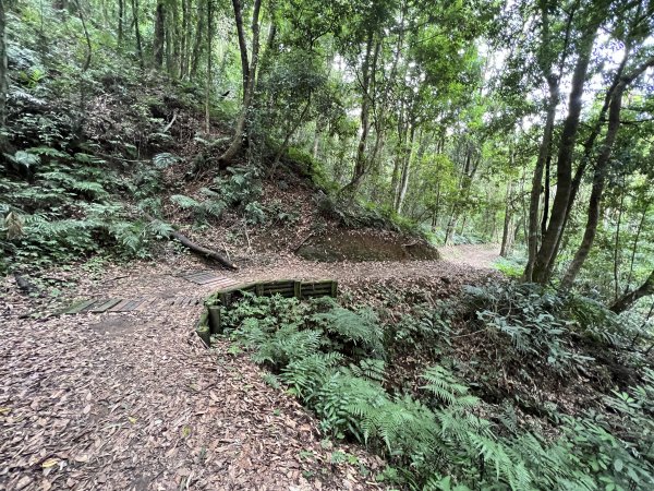 2023-08-13 馬那邦山（馬拉邦山）2251277