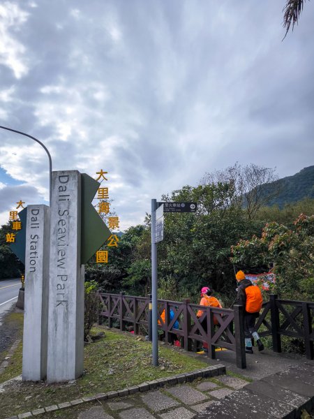 2025-01-19 大里天公廟~埡口2695397