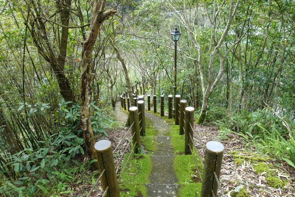 觀音台 水柳腳登山步道3085163