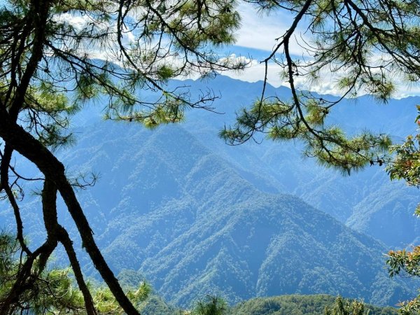 20251014雪見遊憩區 🚴‍♂️咖搭車走司馬限林道上東洗水山兩刷北坑山至大板根2916408