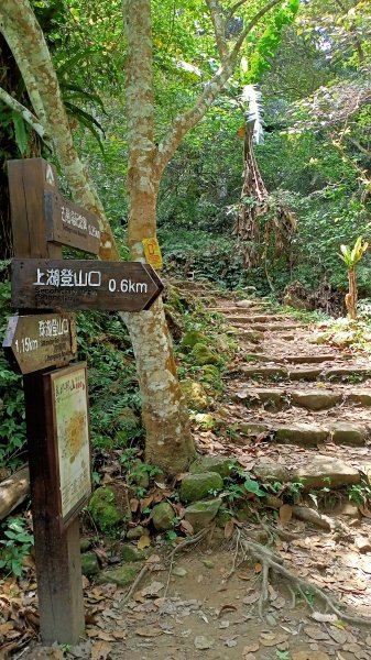 【苗栗-臺灣百大必訪步道】泰雅族抗日的馬那邦山登山步道1347692