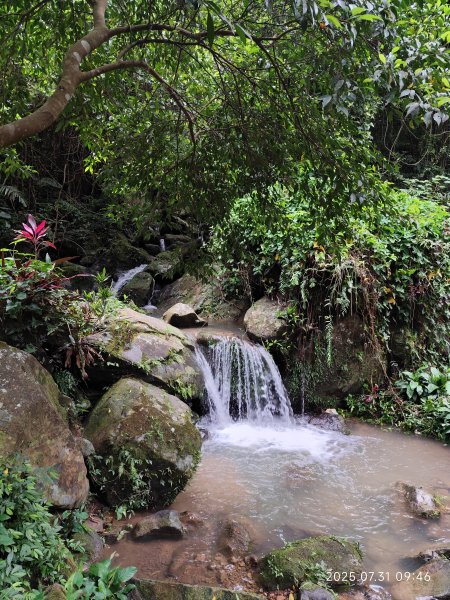 大湖公園→大溝溪生態治水園區→圓覺寺步道→圓覺瀑布→圓覺寺→鯉魚山步道【臺北大縱走 4、臺北健走趣】2849097