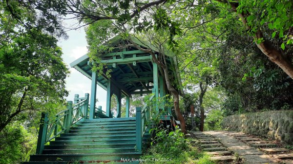 《新竹》百大必訪｜鳳崎落日步道及香山濕地賞蟹步道202404202483670